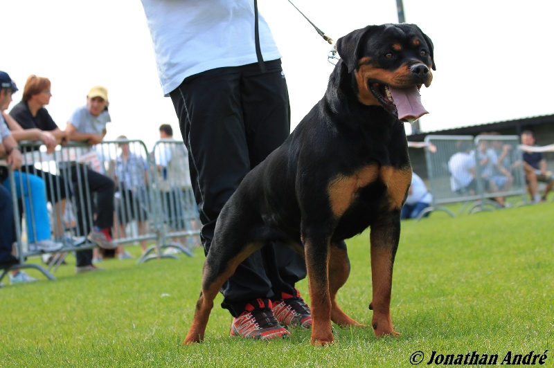 Gina des princes d'aragone