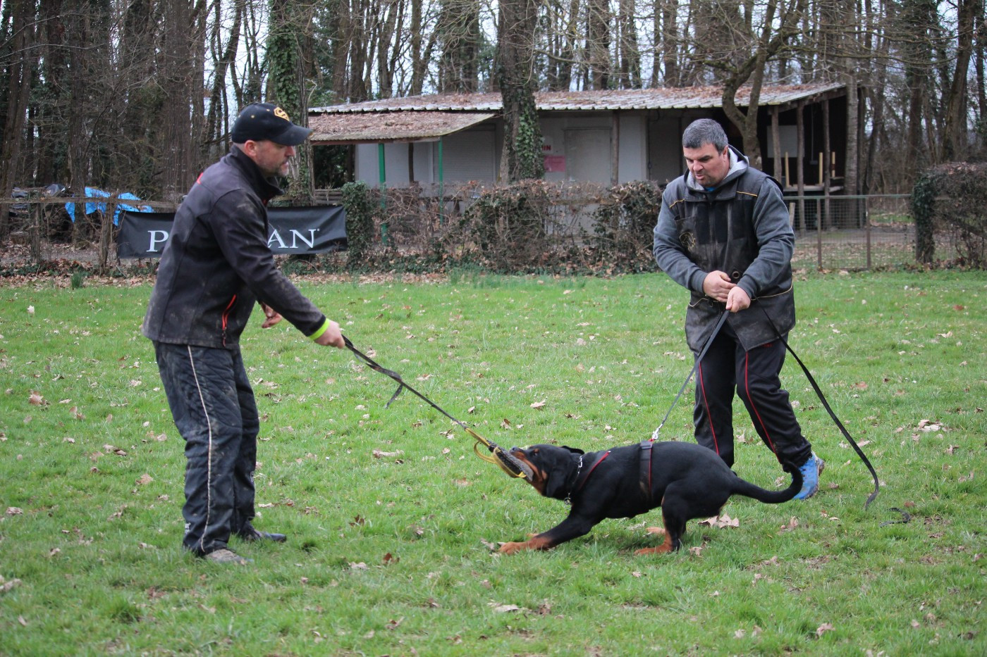 Borntobewild Vom godewind